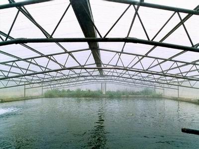 海鲜池_海鲜池的过滤系统_建海鲜池(3)